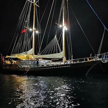 La Reine Botel *